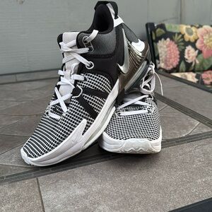 Nike Lebron witness shoe